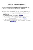 Video: Strategies and Techniques for Process Validation